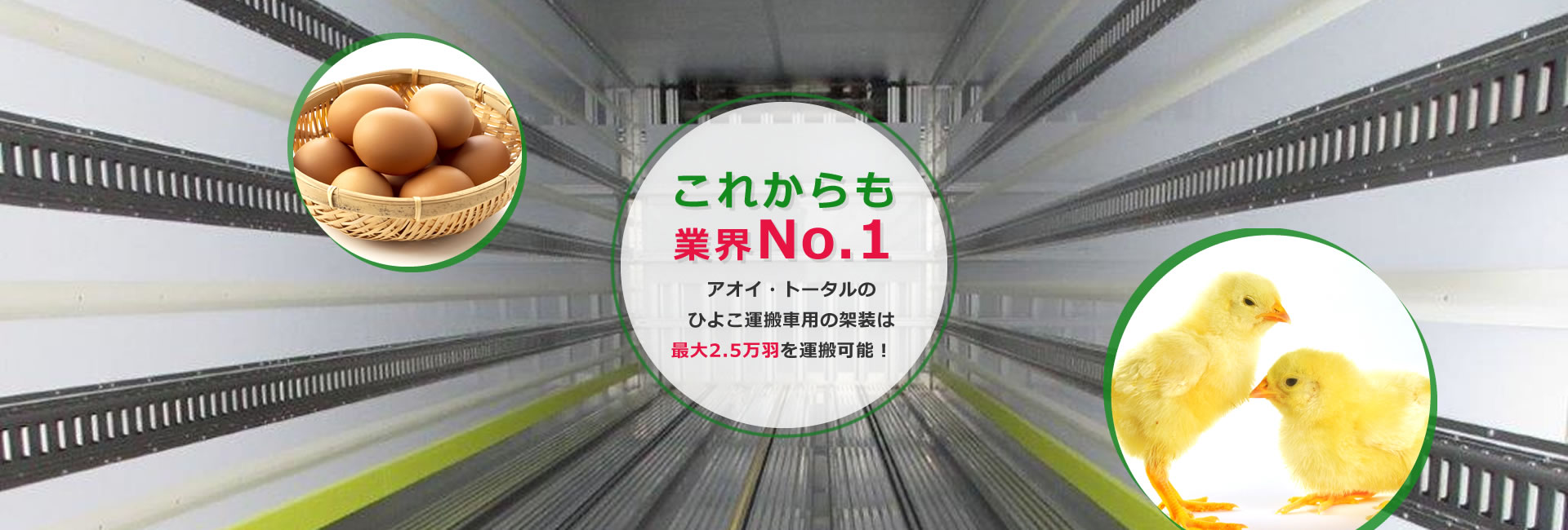 これからも業界No.1アオイ・トータルのひよこ運搬車の架装は最大2.5万羽を運搬可能